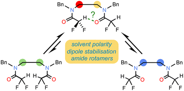 Graphical abstract: Conformational preference in difluoroacetamide oligomers: probing the potential for foldamers with C–H⋯O hydrogen bonds