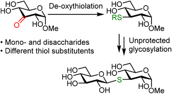 Graphical abstract: Site-selective introduction of thiols in unprotected glycosides