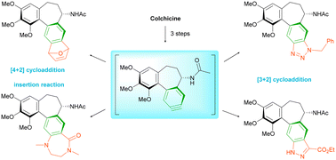 Graphical abstract: Design of an aryne-platform for the synthesis of non-racemic heterocyclic allocolchicinoids