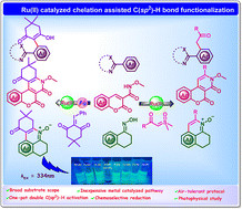 Graphical abstract: Ru(ii) catalyzed chelation assisted C(sp2)–H bond functionalization along with concomitant (4 + 2) annulation