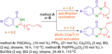 Graphical abstract: Pd-catalyzed oxidative amination of 2-alkenylquinazolin-4(3H)-ones: synthesis of methylene and vinyl derivatives of pyrrolo(pyrido)[2,1-b]quinazolinones