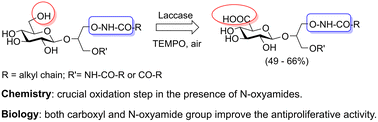 Graphical abstract: Synthesis of N-oxyamide analogues of protein kinase B (Akt) targeting anionic glycoglycerolipids and their antiproliferative activity on human ovarian carcinoma cells
