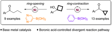 Graphical abstract: Aryl boronic acid-controlled divergent ring-contraction and ring-opening/isomerization reaction of tert-cyclobutanols enabled by nickel catalysis