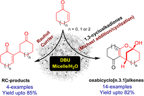 Graphical abstract: A micelle-mediated approach enables facile access to bridged oxabicyclo[n.3.1]alkene scaffolds