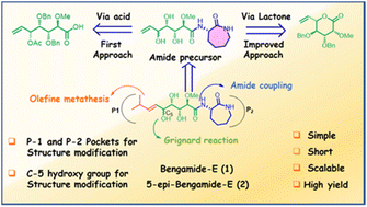 Graphical abstract: A simple and efficient pathway for the total synthesis of marine natural products: bengamide E and 5-epi-bengamide E