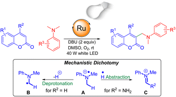 Graphical abstract: Visible-light mediated, oxygen-promoted regioselective cross-dehydrogenative coupling of coumarins and dimethylanilines