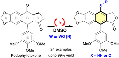 Graphical abstract: An I2–DMSO catalytic manifold enabled aromatization for C-ring editing of podophyllotoxone