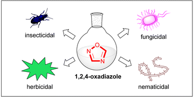 Graphical abstract: 1,2,4-Oxadiazole as a potential scaffold in agrochemistry: a review