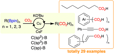 Graphical abstract: Cu-catalyzed carboxylation of organoboronic acid pinacol esters with CO2