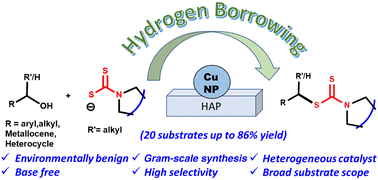 Graphical abstract: S-Alkylation of dithiocarbamates via a hydrogen borrowing reaction strategy using alcohols as alkylating agents