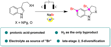 Graphical abstract: Electrochemical bromocyclization enables 3,5-diversification of heterocyclic indolines