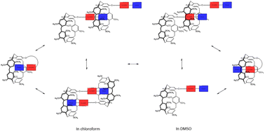 Graphical abstract: Effect on the conformation of monosubstituted pillar[5]arene: solvent, temperature, concentration and linker length