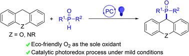 Graphical abstract: Visible light irradiated photocatalytic C(sp3)–H phosphorylation of xanthenes and 9,10-dihydroacridines with P(O)–H compounds