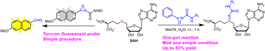 Graphical abstract: ReACT (redox-activated chemical tagging) chemistry enables direct derivatization and fluorescence detection of S-adenosyl-l-homocysteine (SAH)