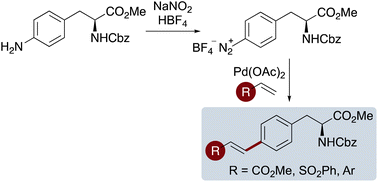 Graphical abstract: Fluorescent α-amino acids via Heck–Matsuda reactions of phenylalanine-derived arenediazonium salts