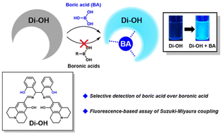 Graphical abstract: A fluorescent probe for selective detection of boric acids and its application for screening the conversion of the Suzuki–Miyaura coupling reaction
