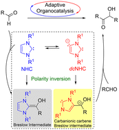 Graphical abstract: Adaptive carbonyl umpolung involving a carbanionic carbene Breslow intermediate: an alternative mechanism for NHC-mediated organocatalysis