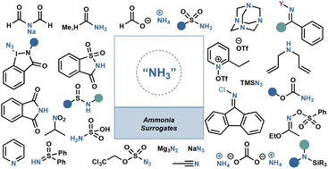 Graphical abstract: Ammonia surrogates in the synthesis of primary amines