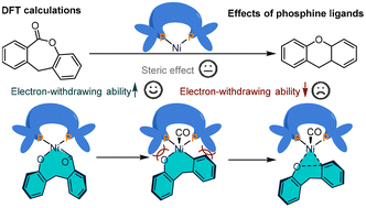 Graphical abstract: Effects of phosphine ligands in nickel-catalyzed decarbonylation reactions of lactone