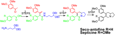 Graphical abstract: Rapid entry to phenanthroindolizidine alkaloids via an acid-catalysed acyliminium ion-electrocyclization cascade