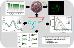 Graphical abstract: Fluorescent styryl pyridine-N-oxide probes for imaging lipid droplets
