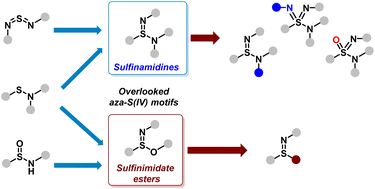 Graphical abstract: Overlooked aza-S(iv) motifs: synthesis and transformations of sulfinamidines and sulfinimidate esters