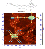 Graphical abstract: Rod-like nanostructures through amphiphilic OPE-porphyrin self-organization