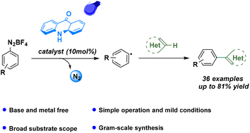 Graphical abstract: Photochemical acridone-mediated direct arylation of (hetero)arenes with aryl diazonium salts