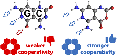 Graphical abstract: Strengthened cooperativity of DNA-based cyclic hydrogen-bonded rosettes by subtle functionalization