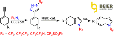 Graphical abstract: Rhodium(ii)-catalyzed transannulation approach to N-fluoroalkylated indoles