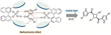 Graphical abstract: Visible-light-driven enantioselective intermolecular [2 + 2] photocyclization utilizing bathochromic excitation mediated by a chiral phosphoric acid