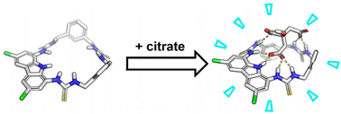 Graphical abstract: A macrocyclic fluorescent probe for the detection of citrate