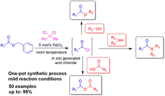 Graphical abstract: Direct transformation of benzyl esters into esters, amides, and anhydrides using catalytic ferric(iii) chloride under mild conditions