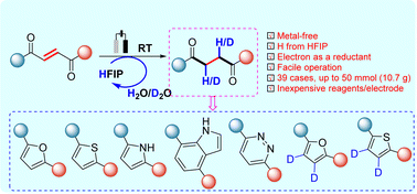Graphical abstract: Electrochemical chemoselective hydrogenation of 1,4-enediones with HFIP as the hydrogen donor: scalable access to 1,4-diketones