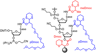 Graphical abstract: PEGylated Dmoc phosphoramidites for sensitive oligodeoxynucleotide synthesis