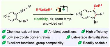 Graphical abstract: Electrochemical selenocyclization of 2-ethynylanilines with diselenides: facile and efficient access to 3-selenylindoles