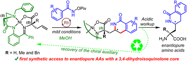 Graphical abstract: A synthetic route to artificial chiral α-amino acids featuring a 3,4-dihydroisoquinolone core through a Rh(iii)-catalyzed functionalization of allyl groups in chiral Ni(ii) complexes