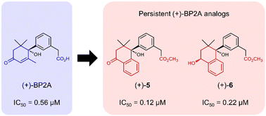 Graphical abstract: Synthesis and biological activity of photostable and persistent abscisic acid analogs