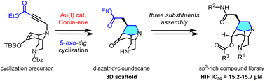 Graphical abstract: Synthesis of the diazatricycloundecane scaffold via gold(i)-catalysed Conia-ene-type 5-exo-dig cyclization and stepwise substituent assembly for the construction of an sp3-rich compound library