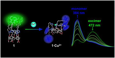 Graphical abstract: Highly selective Cu2+ detection with a naphthalimide-functionalised pillar[5]arene fluorescent chemosensor