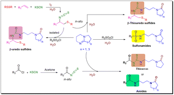 Graphical abstract: Isothiocyanates (in situ) and sulfonyl chlorides in water for N-functionalization of bicyclic amidines: access to N-alkylated γ-/ω-lactam derivatized thiourea and sulfonamides