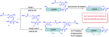 Graphical abstract: Synthesis of disulfide-rich C-terminal Cys-containing peptide acids through a photocleavable side-chain anchoring strategy