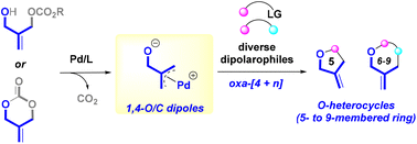 Graphical abstract: Pd-catalyzed oxa-[4 + n] dipolar cycloaddition using 1,4-O/C dipole synthons for the synthesis of O-heterocycles