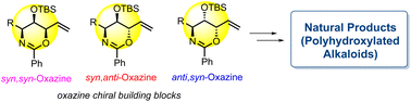 Graphical abstract: Recent advances in the total synthesis of polyhydroxylated alkaloids via chiral oxazines