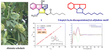 Graphical abstract: Polycyclic pyrroloindoline-containing natural products with a unique 3-heptyl-2a,4a-diazapentaleno[1,6-ab]indene core isolated from Alstonia scholaris