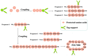 Graphical abstract: A novel synthetic method for backbone-cyclized polypeptide POL7080 with the help of hydrophobic-support materials