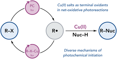 Graphical abstract: Cu(ii) salts as terminal oxidants in visible-light photochemical oxidation reactions