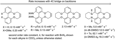 Graphical abstract: Increasing the versatility of the biphenyl-fused-dioxacyclodecyne class of strained alkynes