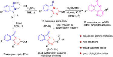 Graphical abstract: Synthesis of fungicidal morpholines and isochromenopyridinones via acid-catalyzed intramolecular reactions of isoindolinones