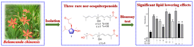 Graphical abstract: Three rare nor-sesquiterpenoids with lipid-lowering activity from Belamcanda chinensis